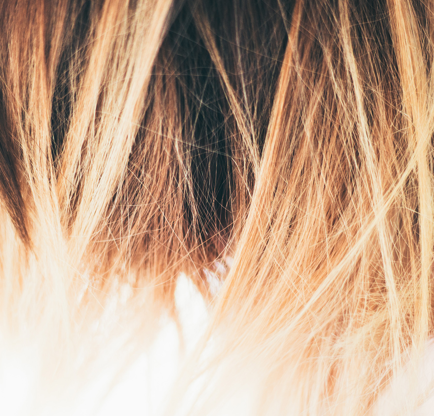 Express Cutting Zone