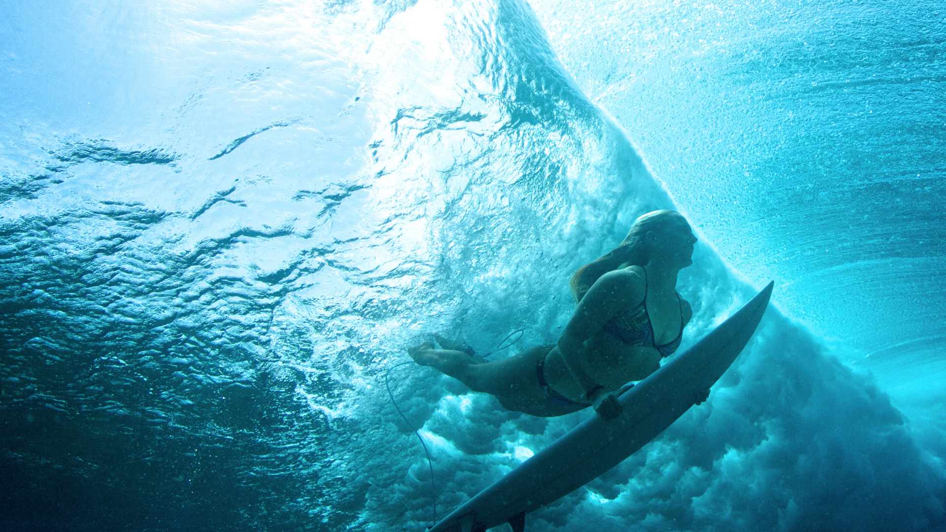 iStock_74441743_XXLARGE_e7fd93e8_cb8c_49b1_988f_9ecd8c68cc7f_2